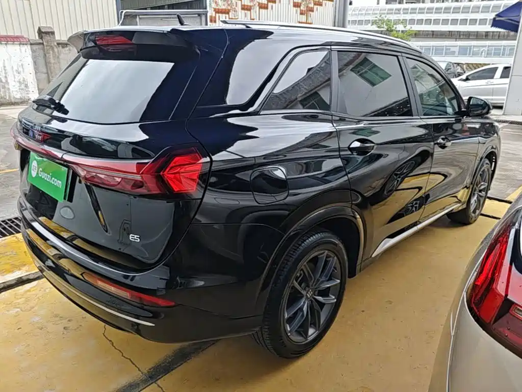 Landian E5 2024 2023 1.5L DE-i 100KM Enjoyment 7-seater