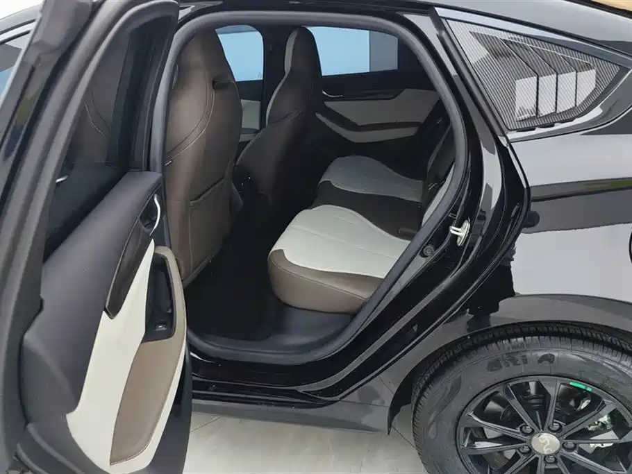 BYD Qin PLUS 2024 Glory Edition DM-i 55KM Leading фото 11