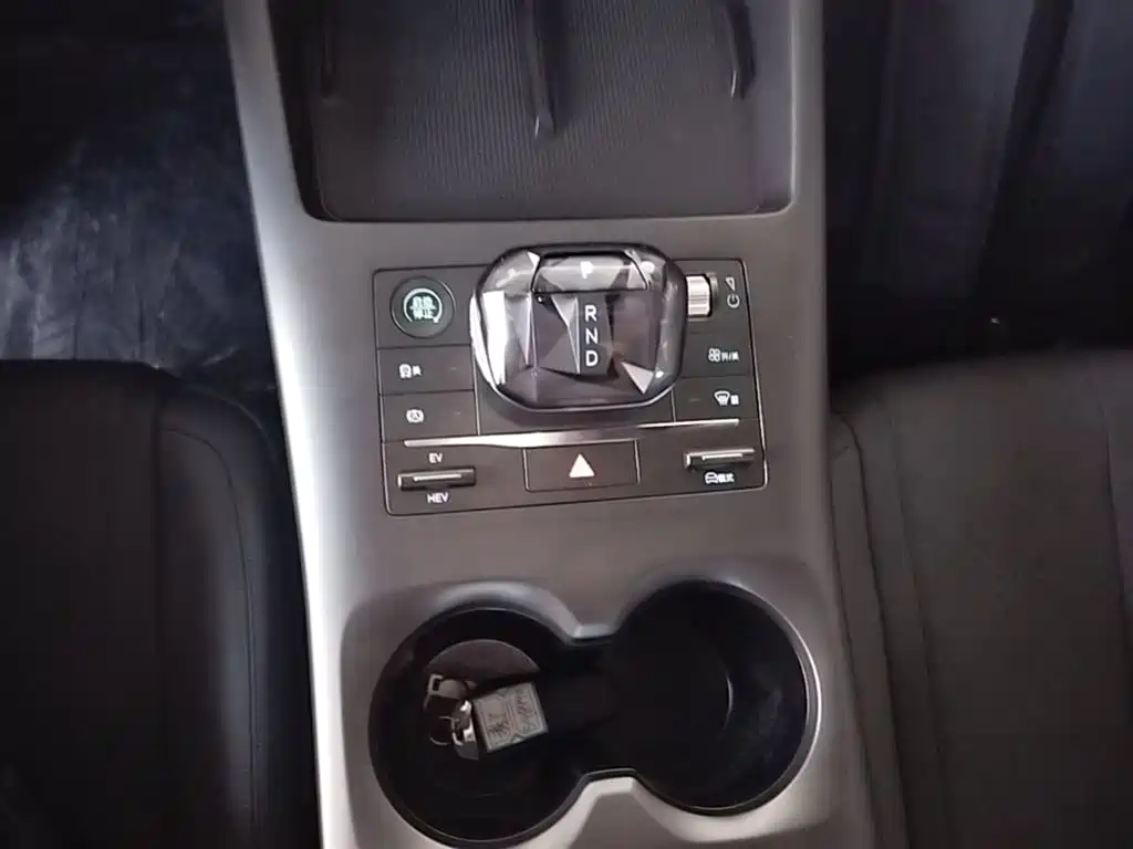 BYD Qin PLUS 2025 DM-i Smart Drive 55KM Leader фото 14
