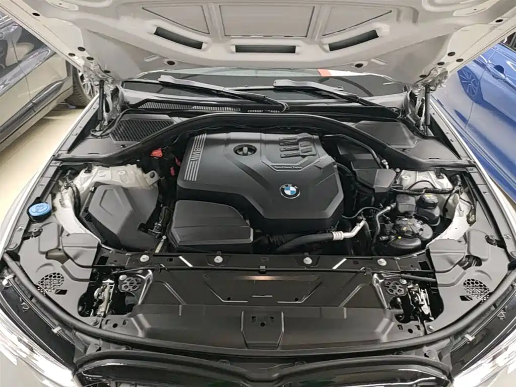BMW 3 Series 2020 325Li xDrive M Sport Package фото 20