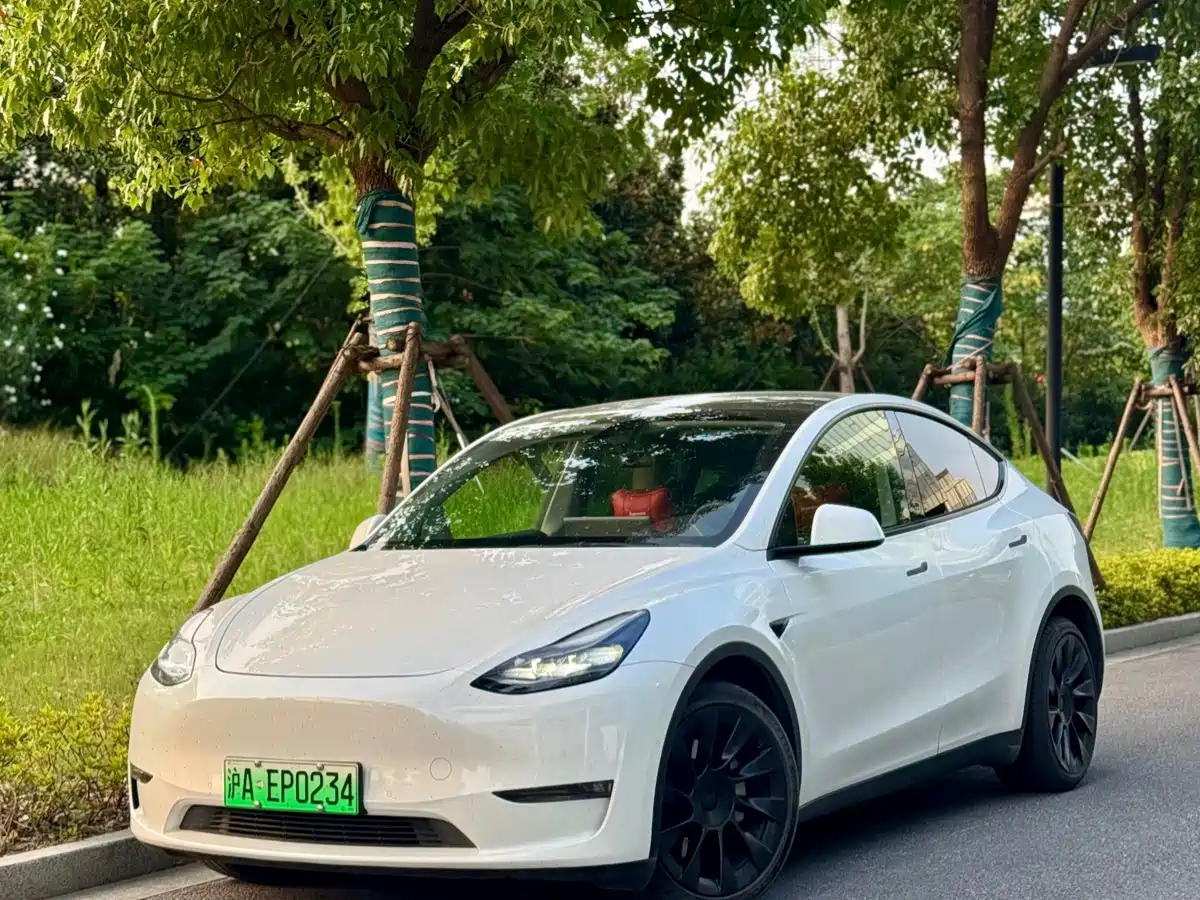 Tesla Model Y 2021