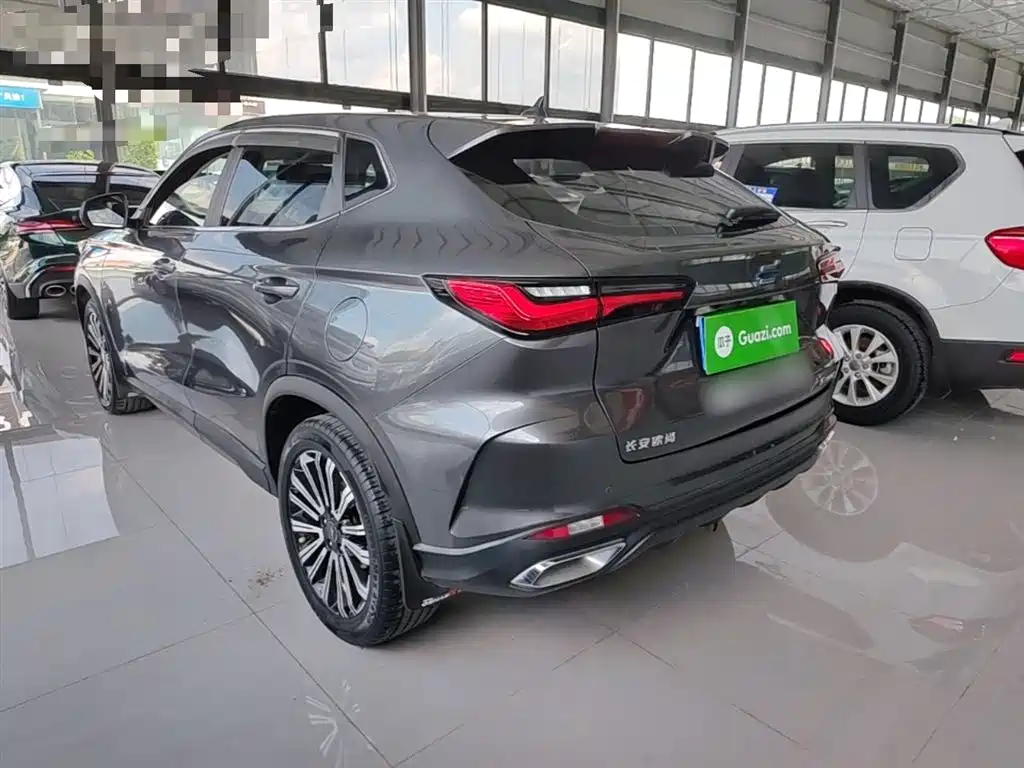 Фото 5 - Changan Oshan Changan Oushang X5