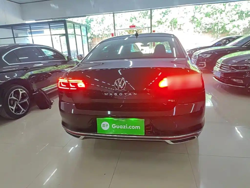 Volkswagen Magotan 2026 2026 Model 30 Million Special Selection 380TSI DSG Luxury