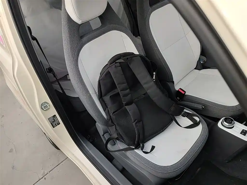 Geely Galaxy Panda 2025 Panda mini 210km Vitality Bear фото 25