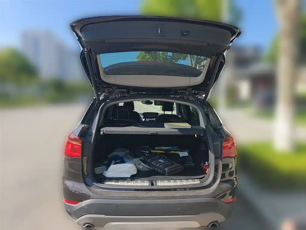 BMW X1 2018 xDrive20Li Premium Model фото 17