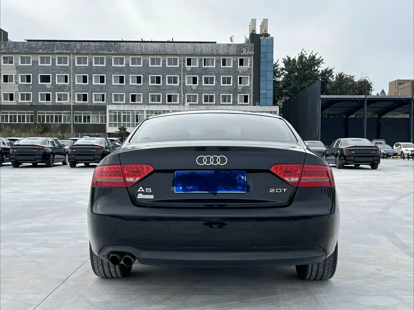 Audi A5 (Import) 2010 2.0TFSI Coupe фото 14