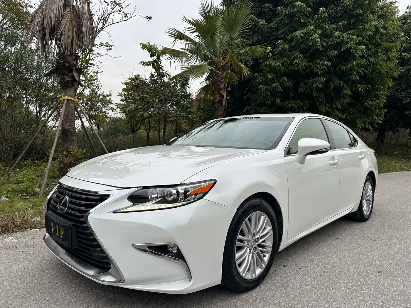 Lexus ES 2015 200 Elite Edition