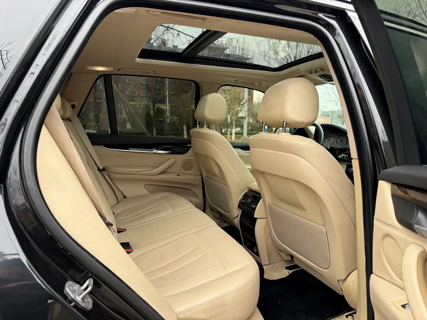 BMW X5 (Import) 2014 xDrive35i Leading фото 8