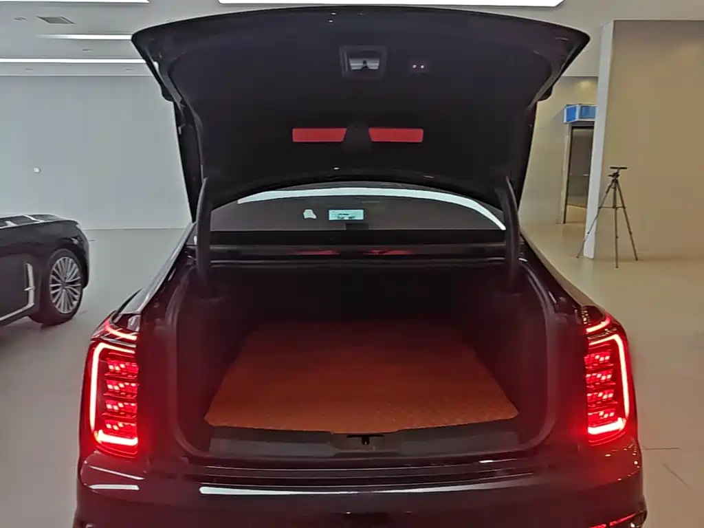 Hongqi H9 2025 2024 2.0T Qi Enjoy Private Fashion Edition