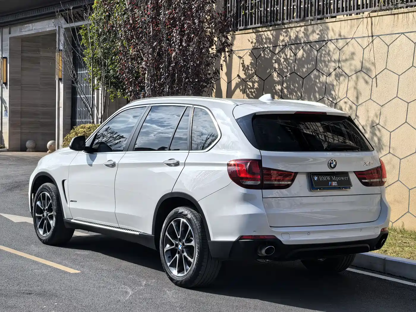 BMW X5 (Import) 2014 xDrive35i Leading фото 25