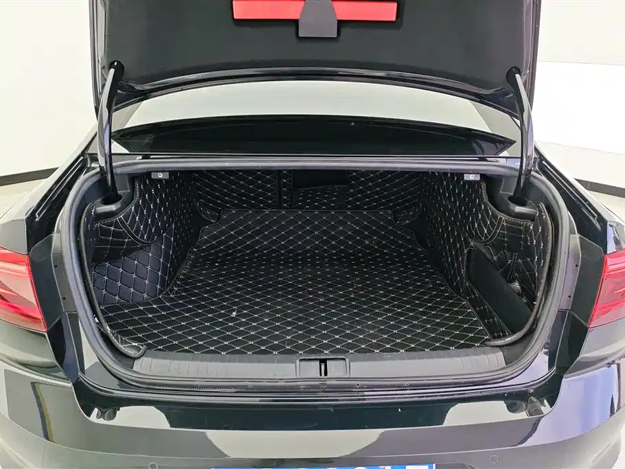 Volkswagen Magotan 2020 330TSI DSG Luxury фото 4