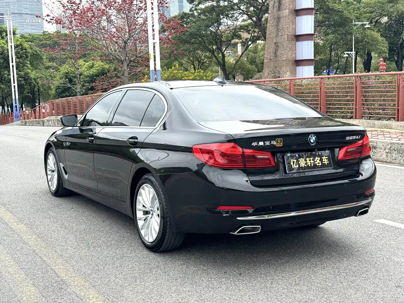 BMW 5 Series 2020 525Li Luxury Package фото 7
