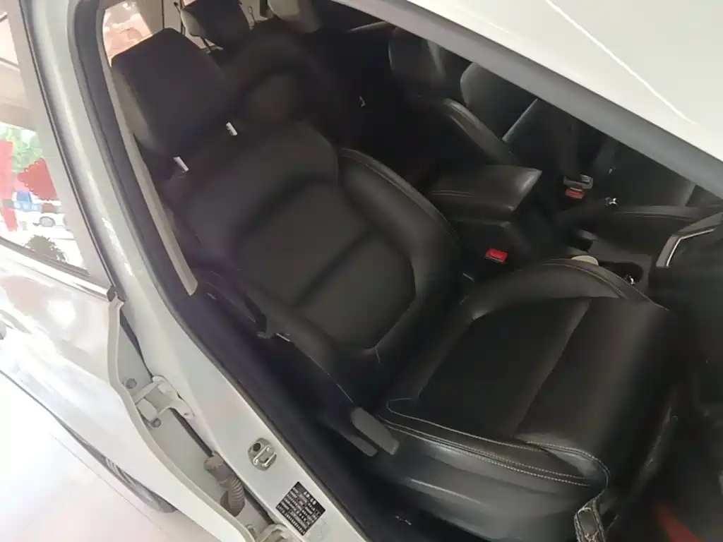 MG ZS 2019 2018 1.5L Automatic Luxury China V