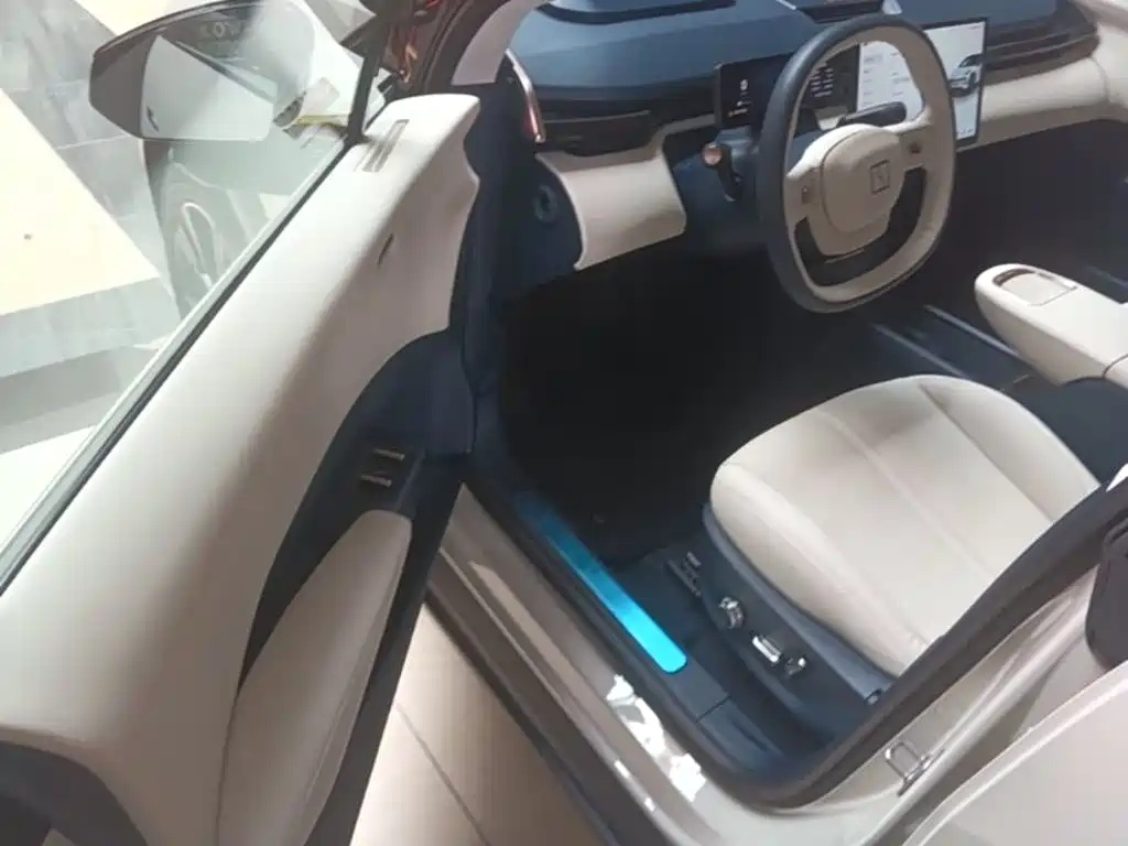 ZEEKR X 2024 2025 5-Seater Long Range Edition