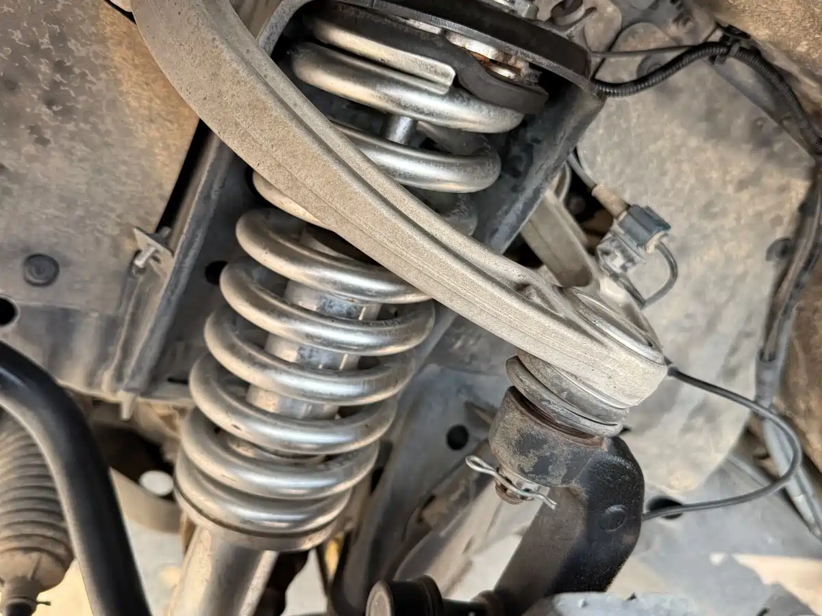 TANK CO CREATION TANK 300