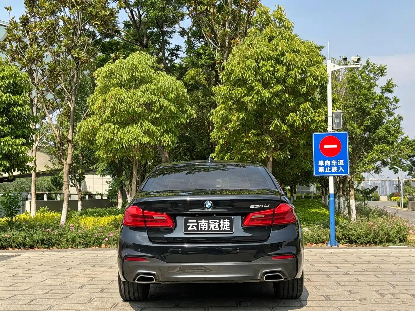 BMW 5 Series 2019 530Li Premium M Sport Package фото 8