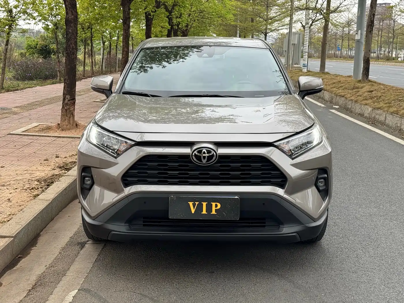 Toyota RAV4 Rongfang 2024 2.0L CVT FWD Urban Edition фото 2