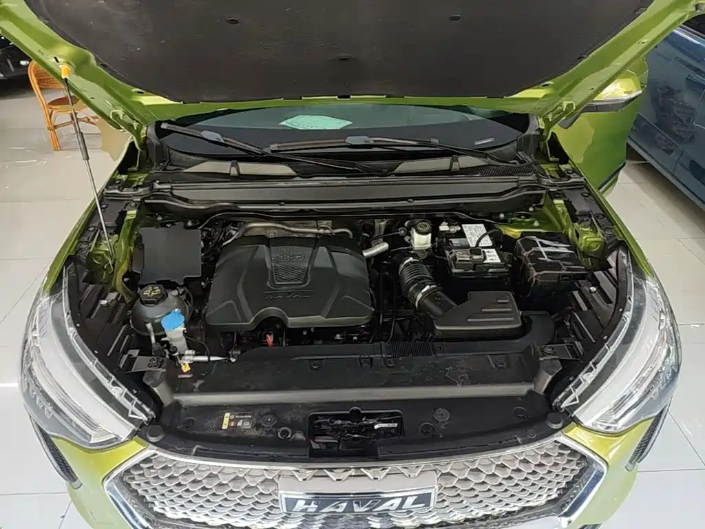 Haval First Love 2021 2021 1.5T Automatic Premium Edition