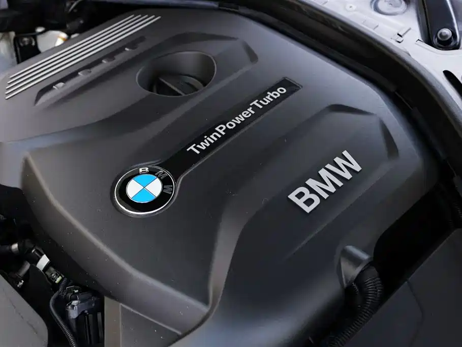 BMW 3 Series 2017 320Li M Sport фото 33