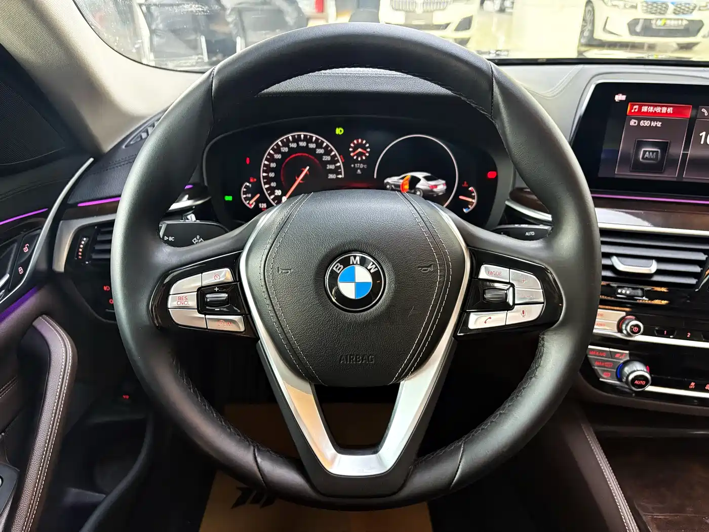 BMW 5 Series 2019 525Li Luxury Package фото 10