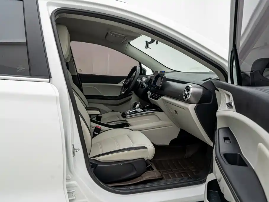 BYD Yuan Pro 2021 2021 401KM Luxury Model