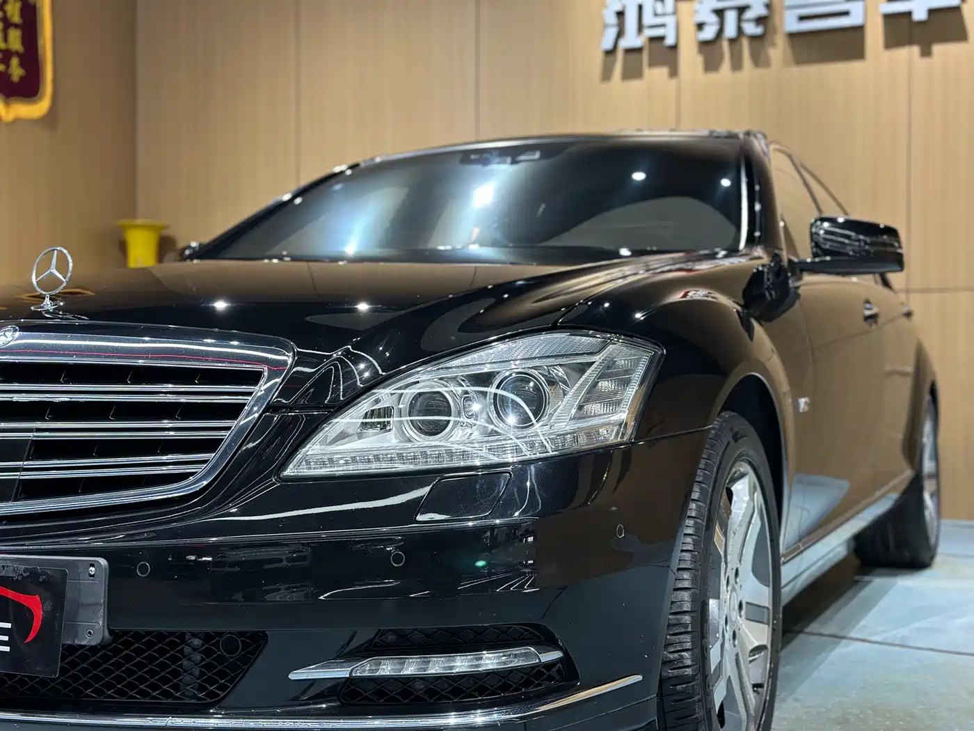 Mercedes-Benz S-Class 2010 S 600 L фото 22