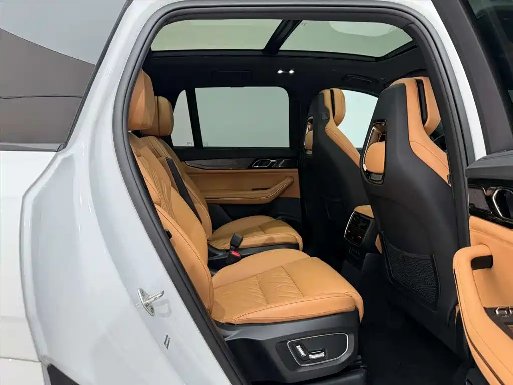 Lynk & Co 09 EM-P 2021 2.0T PHEV Halo 6-seater фото 20