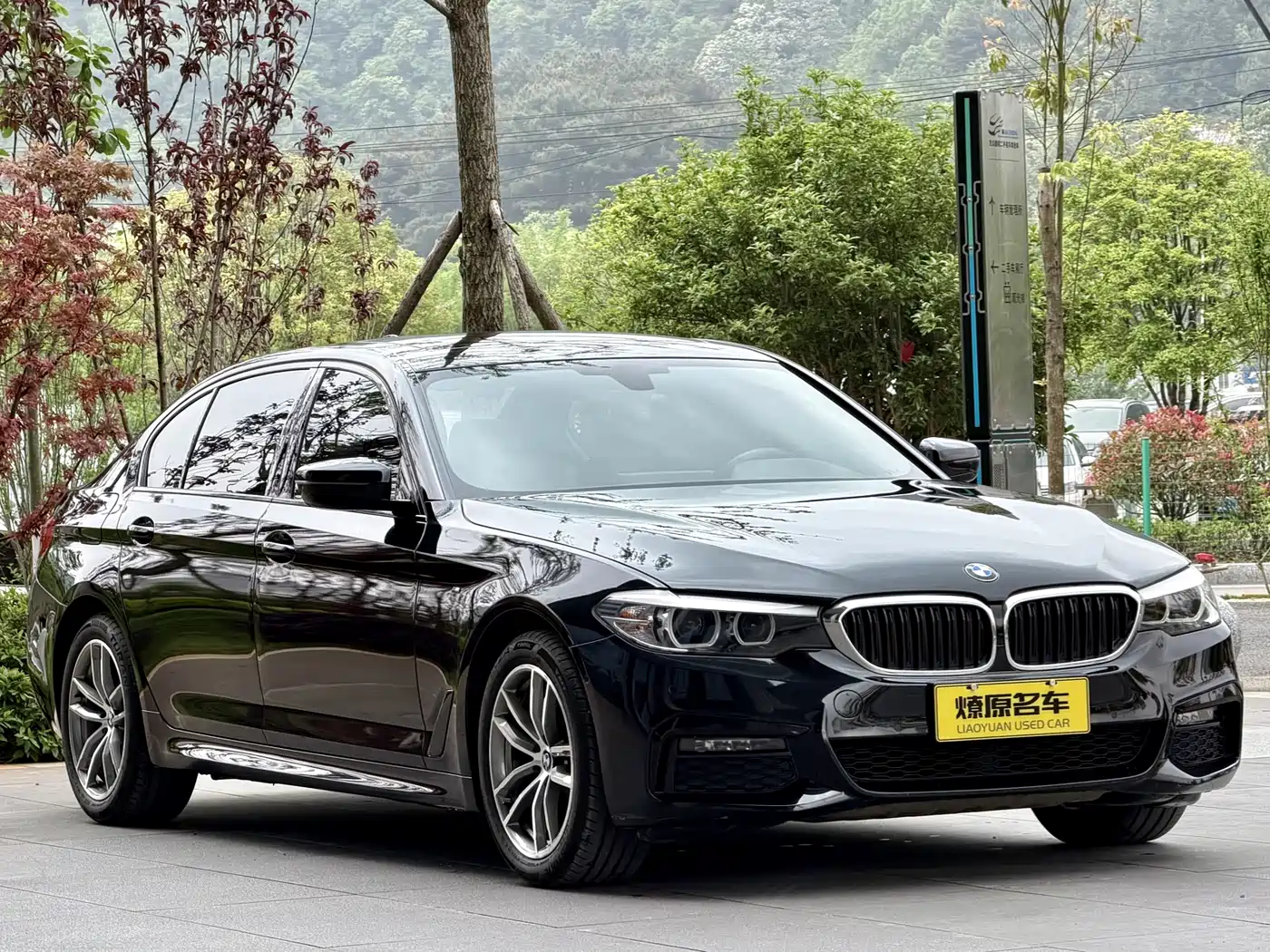 BMW 5 Series 2019 525Li M Sport Package фото 3