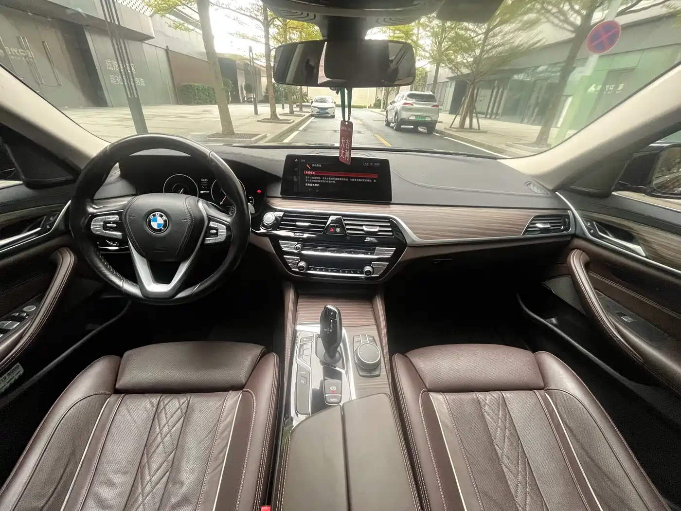 BMW 5 Series New Energy 2019 Facelift 530Le Pioneer Edition фото 29