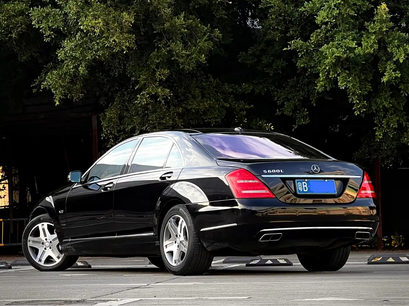 Mercedes-Benz S-Class 2010 S 600 L фото 4