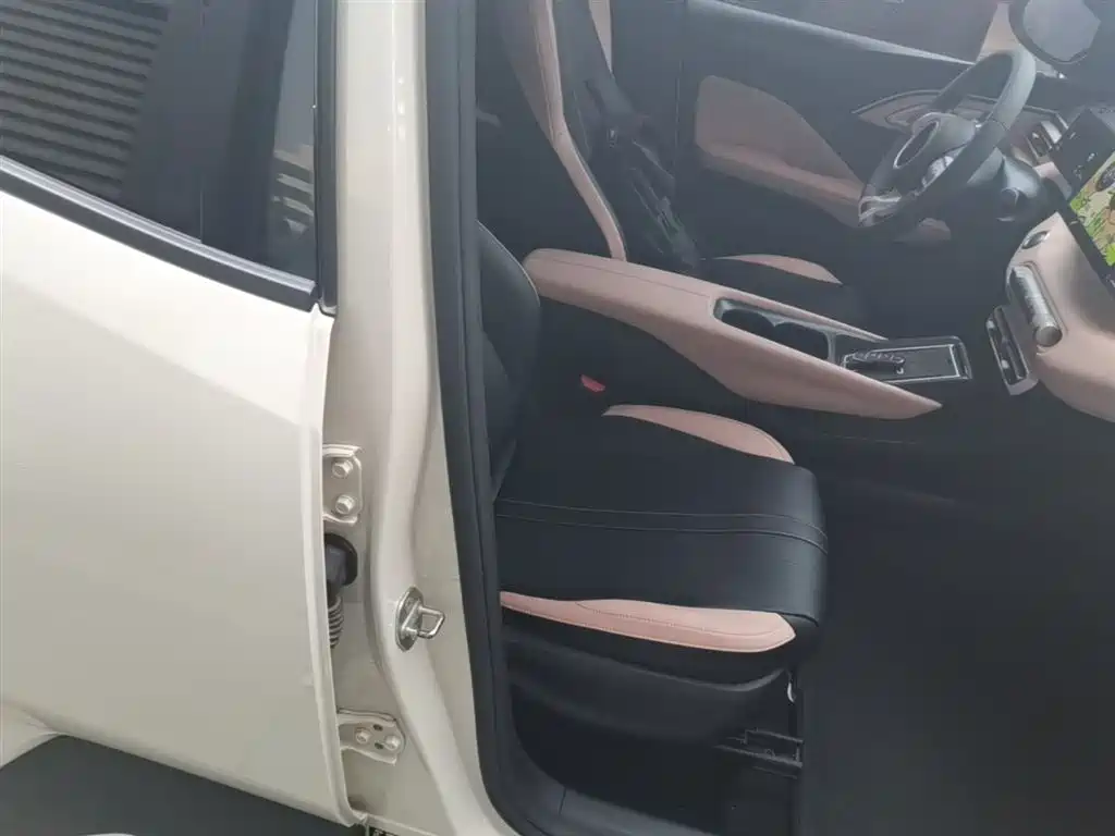 BYD Seagull 2023 Vitality Edition фото 25
