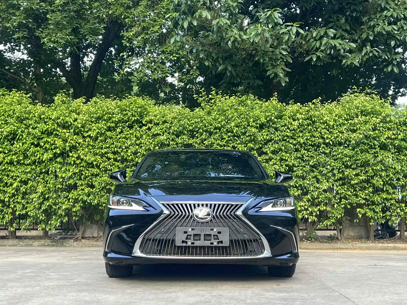 Lexus ES 2020 200 Luxury фото 2