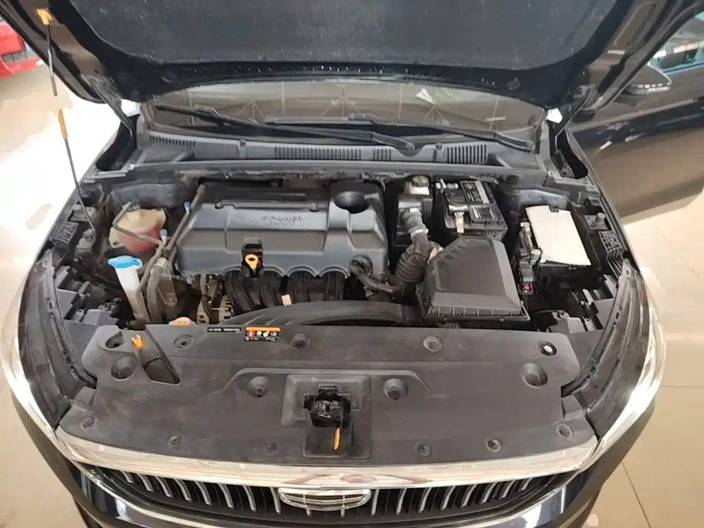 صورة 20 - Geely Emgrand