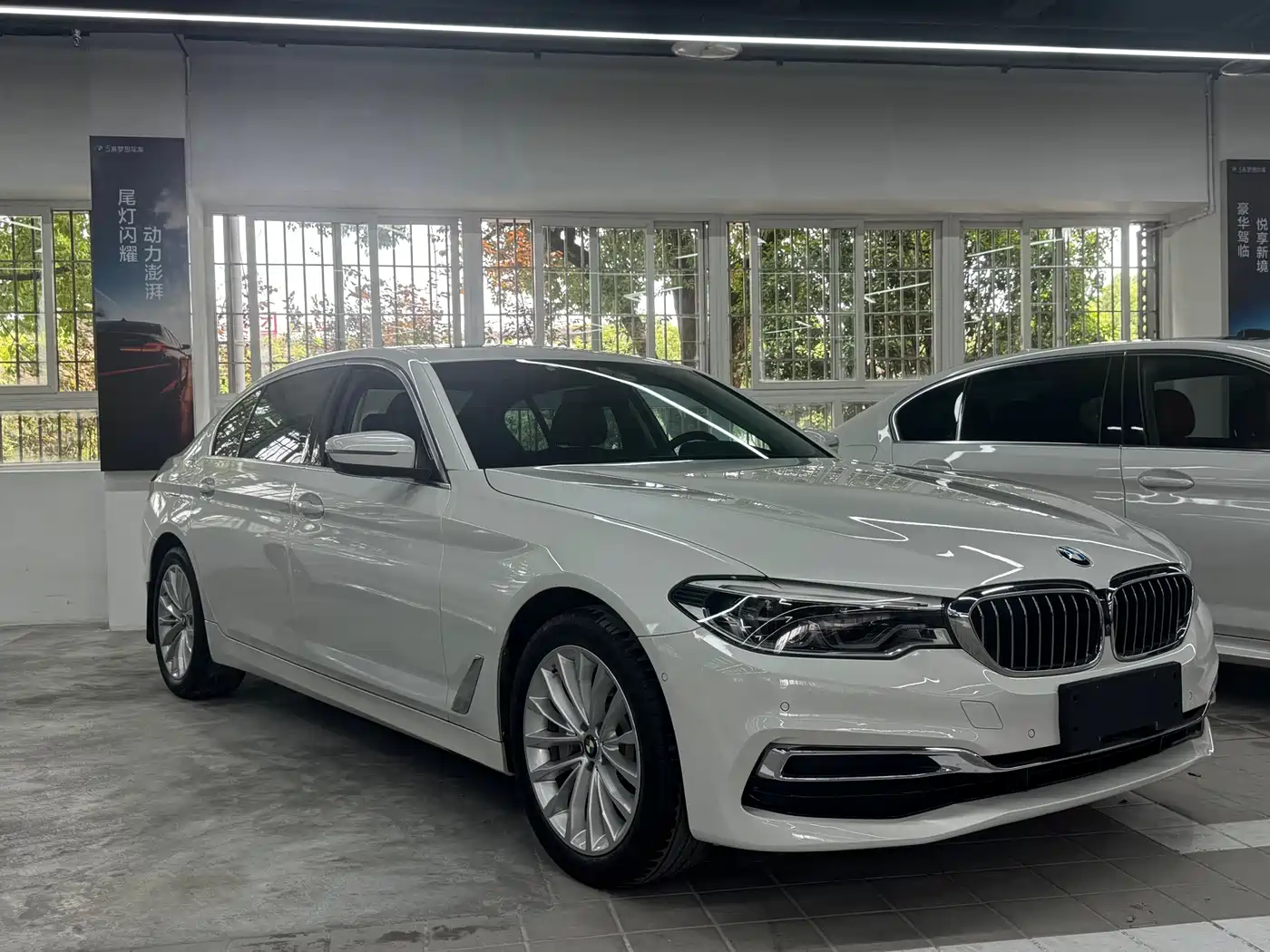 BMW 5 Series 2019 530Li Premium Luxury Package фото 3