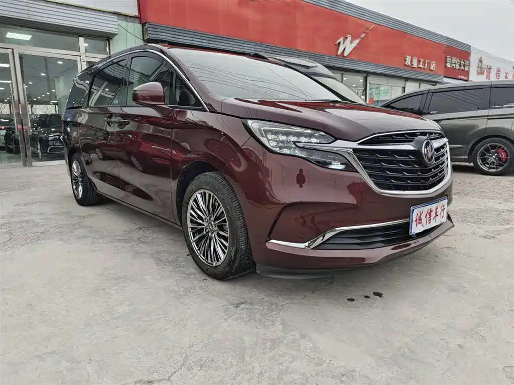 Buick GL8 2022 ES Landmark 653T Premium фото 3