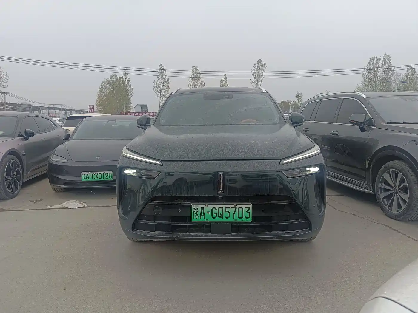 WEI PAI WEI BRAND BLUE MOUNTAIN