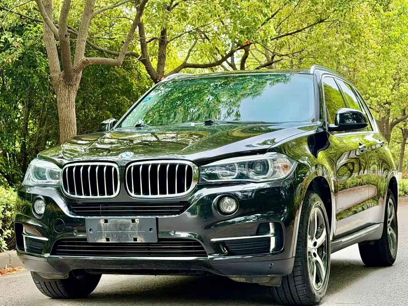 BMW X5 (Import) 2018 xDrive35i Elegant Model