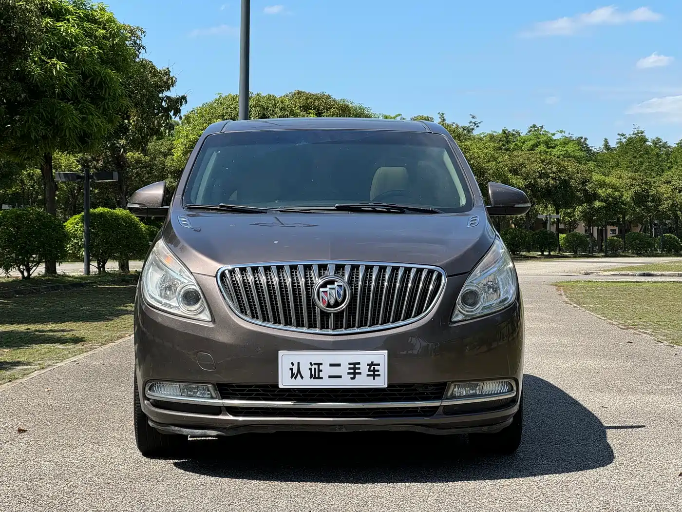 Buick GL8 2014 2.4L CT Luxury Business Comfort фото 2