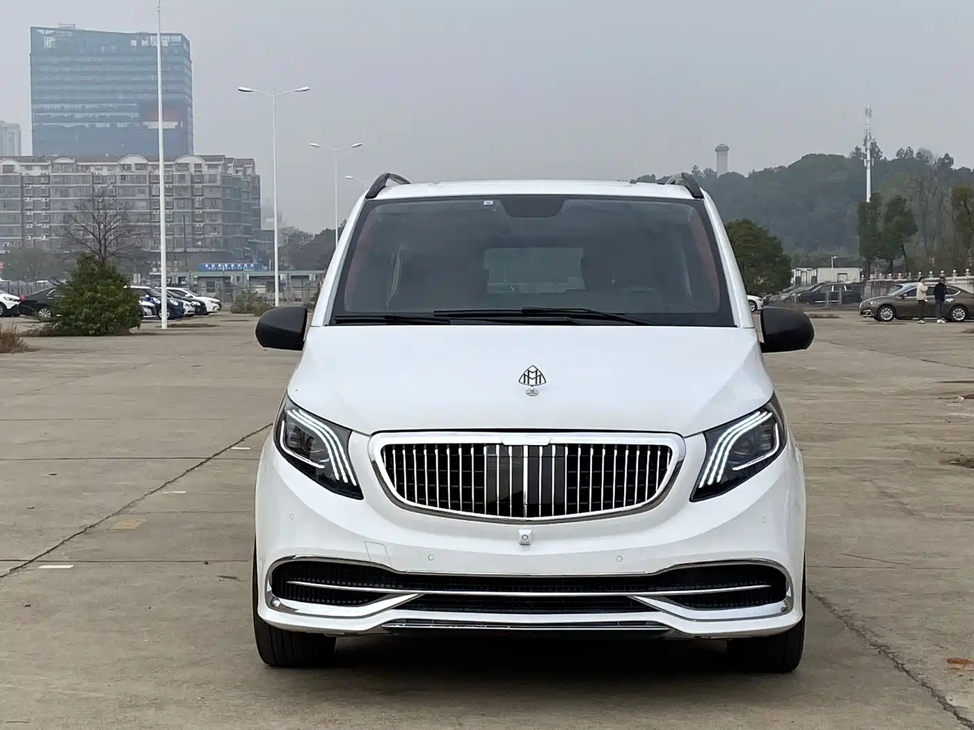 Mercedes-Benz Vito 2016 2.0T Elite Edition фото 2
