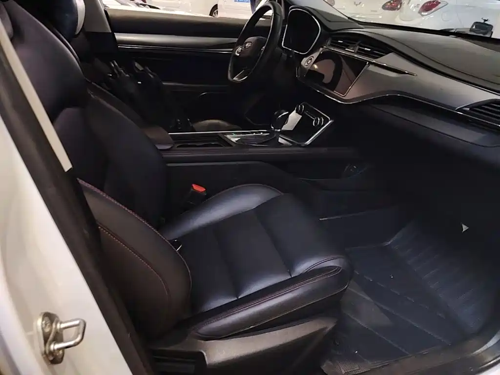 Фото 25 - Geely Binrui