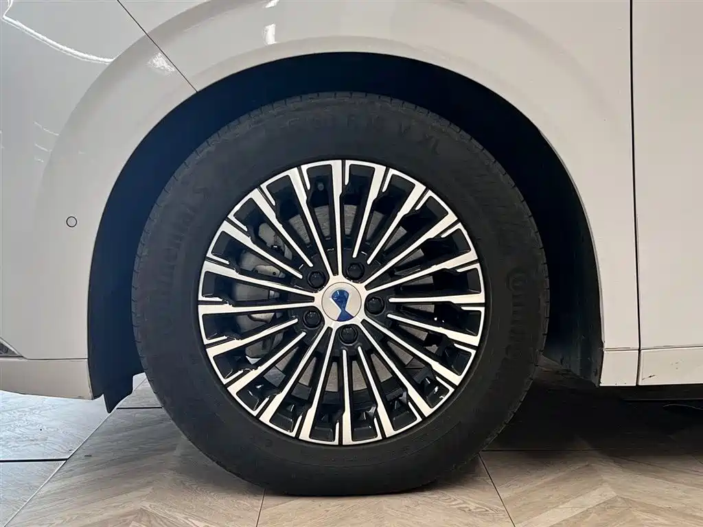 Denza D9 2025 DM-i Smart Drive Edition 1020 AWD Premium фото 11