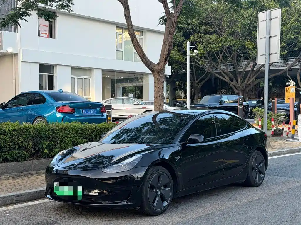 Tesla Model 3 2022