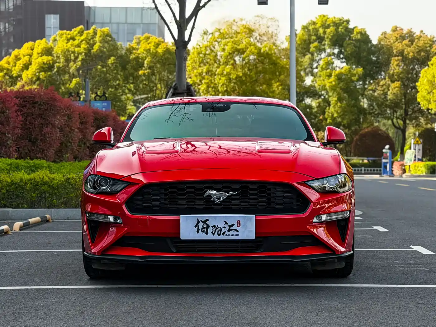 FORD MUSTANG
