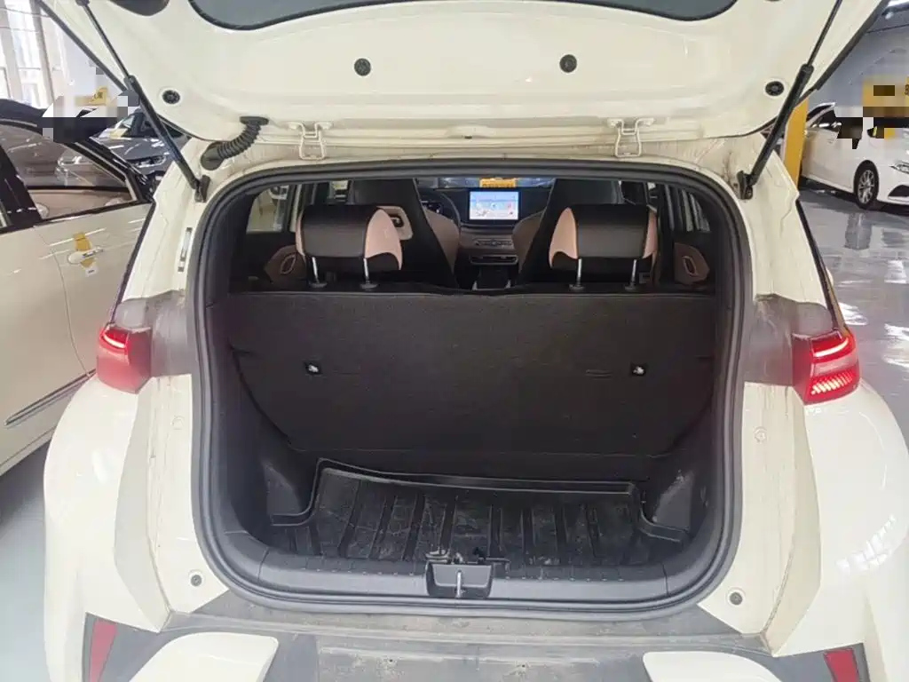 BYD Seagull 2026 2025 Smart Drive Edition 305km Vitality Version