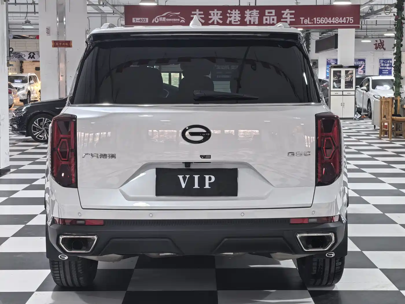 GAC Trumpchi Trumpchi GS8 2022 Pilot Series 2.0TGDI 2WD Premium Edition (7-Seater) фото 22
