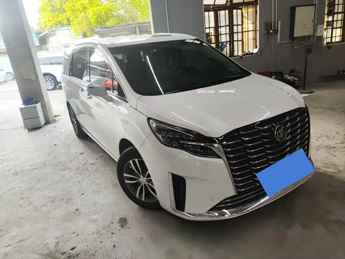 Buick GL8 2022 ES Landmark 653T Premium фото 2