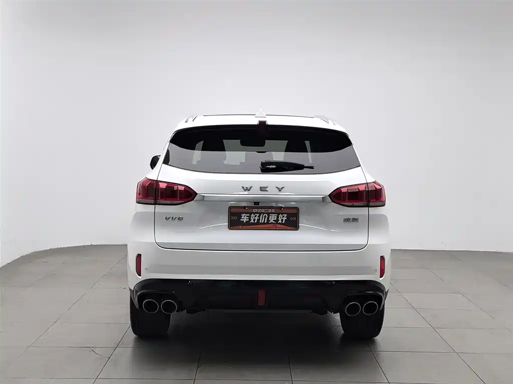 WEI PAI WEI BRAND VV6