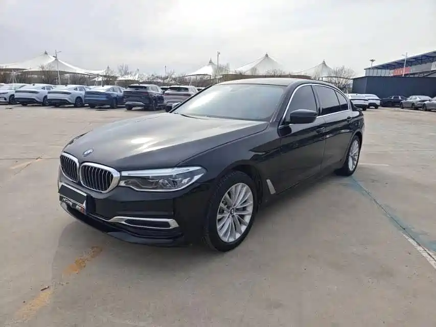 BMW 5 Series 2020 530Li xDrive Luxury Package
