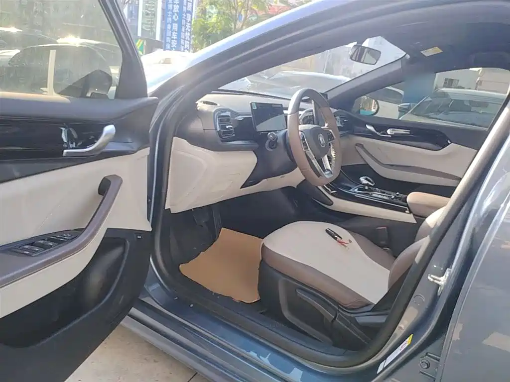 BYD Qin PLUS 2024 Glory Edition DM-i 55KM Leading фото 16