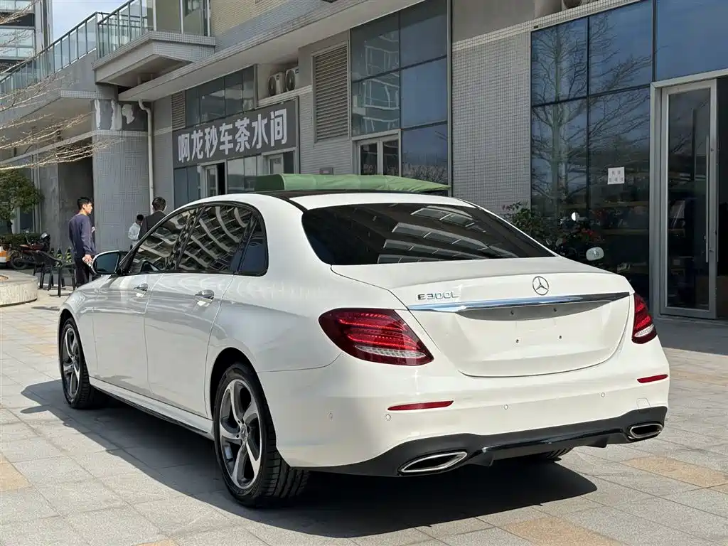 Mercedes-Benz E-Class 2019 E 300 L Sport Fashion фото 6